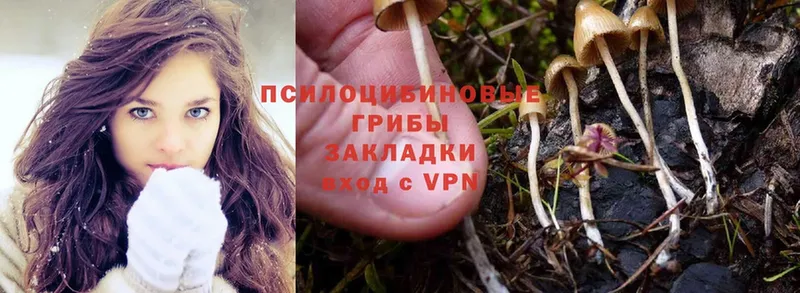 Галлюциногенные грибы MAGIC MUSHROOMS  где найти   Валуйки 